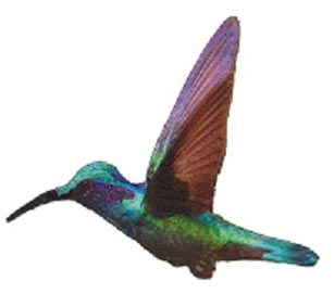 Bügelmotiv Kolibri 9,5x8,3cm